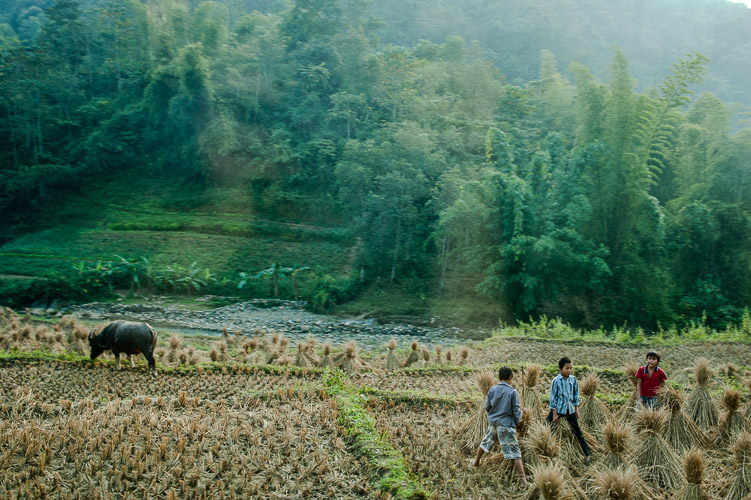 Vietnam novembre 2010