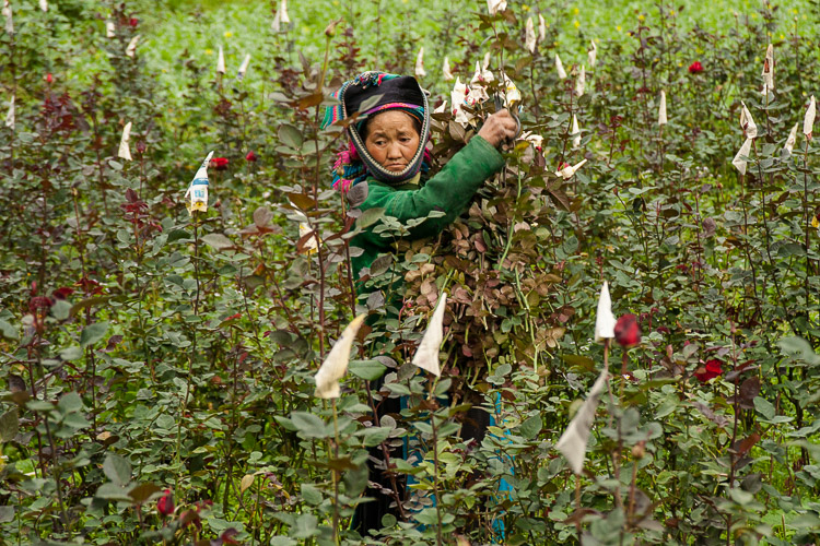 Vietnam novembre 2012