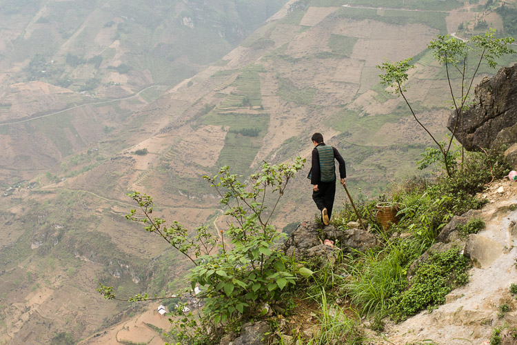 Route du bonheur, 2015