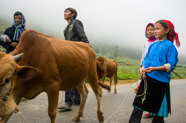 Vietnam novembre 2012