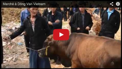 Video Marché de Dông Van (c) Huy Anh NGUYEN